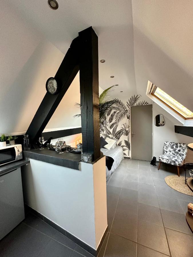 Studio Chaleureux Hypercentre 아미앵 외부 사진